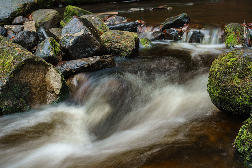 Fast Flowing Stream In Australian Rainforest After Heavy Rainfall.