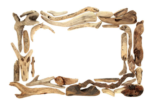 Abstract Natural Driftwood Background Frame Abstract natural driftwood background composition on white background. Rectangular border design element, flat lay, top view. Copy space. driftwood photos stock pictures, royalty-free photos & images