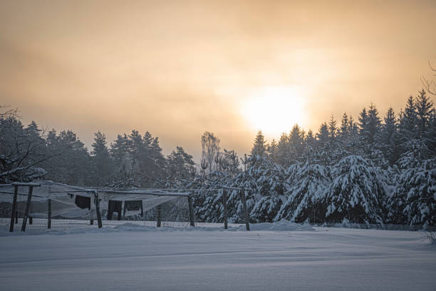 istock Sunrise over a wintry village 1362354888