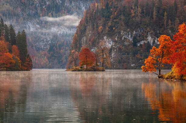 herbstmorgenansicht des königssees im nationalpark berchtesgaden, deutschland - konigsee stock-fotos und bilder