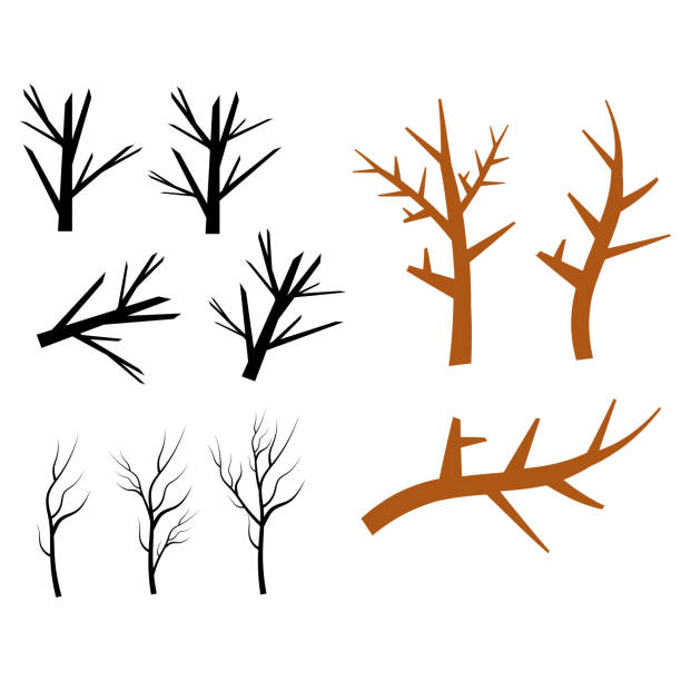 illustrations, cliparts, dessins animés et icônes de silhouettes de branches d’arbres nues. feuilles, tourbillons et éléments floraux - tree silhouette branch bare tree