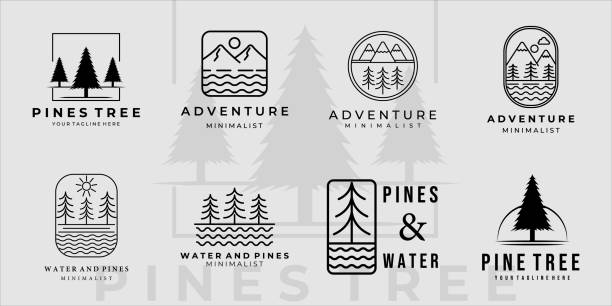 산수 세트와 소나무 아이콘 라인 아트 미니멀 한 간단한 아이콘 템플릿 디자인. 여행사 컨셉을 위한 다양한 어드벤처 아이콘 아이콘 의 번들 컬렉션 - pine stock illustrations