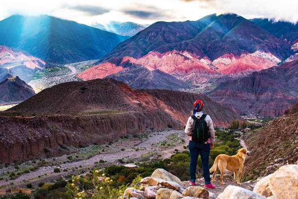 young girl, hiking with her dog in Jujuy, Argentina young girl, hiking with her dog. from behind admiring the imposing landscape argentinian ethnicity stock pictures, royalty-free photos & images