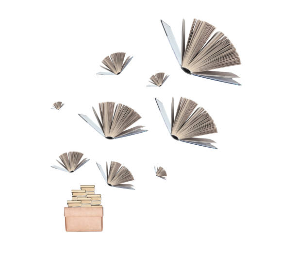 istock Paper books flying and spreading from box. Reading concept. Surreal composition 1362370543