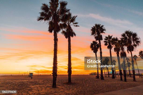 Beautiful Sunset In California Stock Photo - Download Image Now - Santa Monica, California, Palm Tree