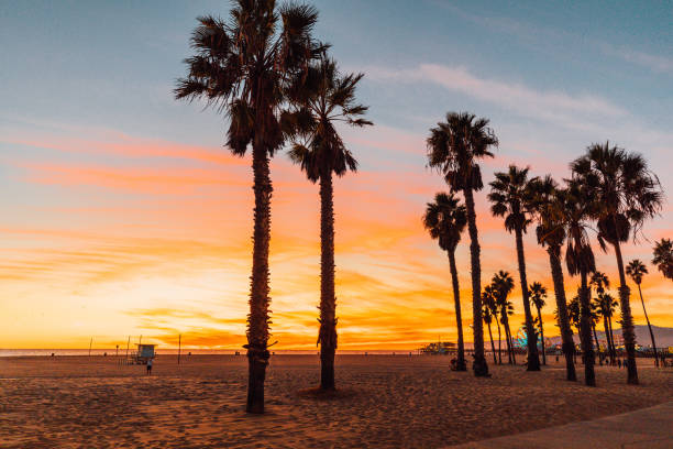 beautiful sunset in california - santa monica venice beach california santa monica beach imagens e fotografias de stock