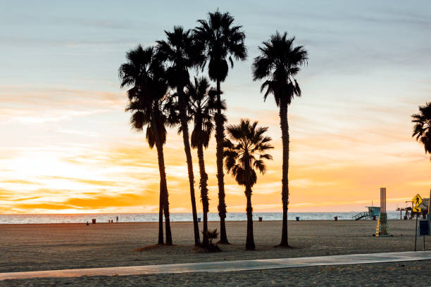 istock Beautiful sunset in California 1362371215