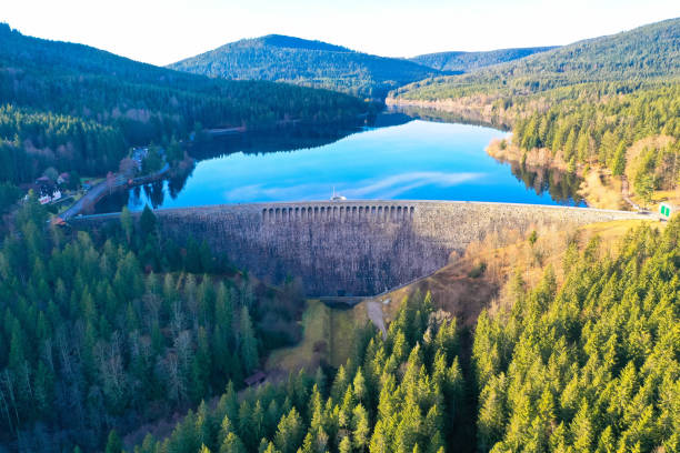 drone photography schwarzenbachtalsperre - germany reservoir water tree imagens e fotografias de stock