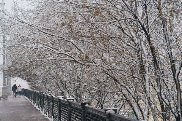 モスクワの冬の路地。 - landscape winter horizontal color image ストックフォトと画像