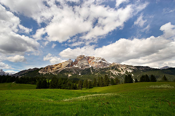 прато пьяцца с видом на croda rossa в sudtirol - croda rossa стоковые фото и изображения