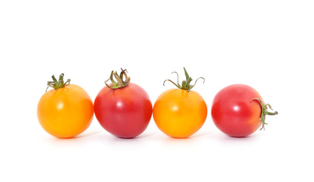 istock Ripe red and orange tomatoes. 1362379763