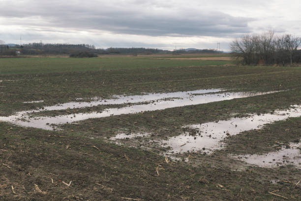 istock Wet agricultural field 1362380680
