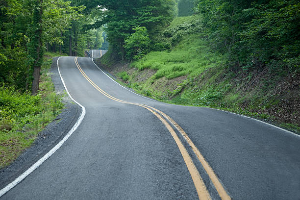 istock Wild Twisty Road 136238179