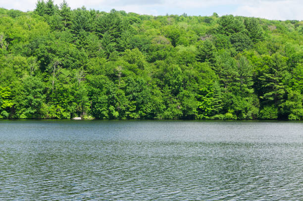 istock Stillwater Pond Torrington connecticut landscape 1362382856