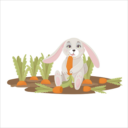 Free download of bunny eating carrot rabbit hare eat animal vector graphics  and illustrations