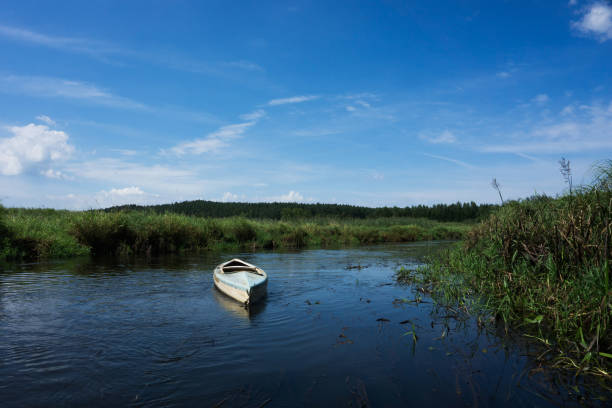 Wild narrow river scenery. Dirty, weathered canoe