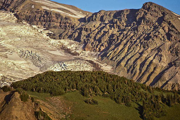 istock Emmons Glacier from Summerland 136238370