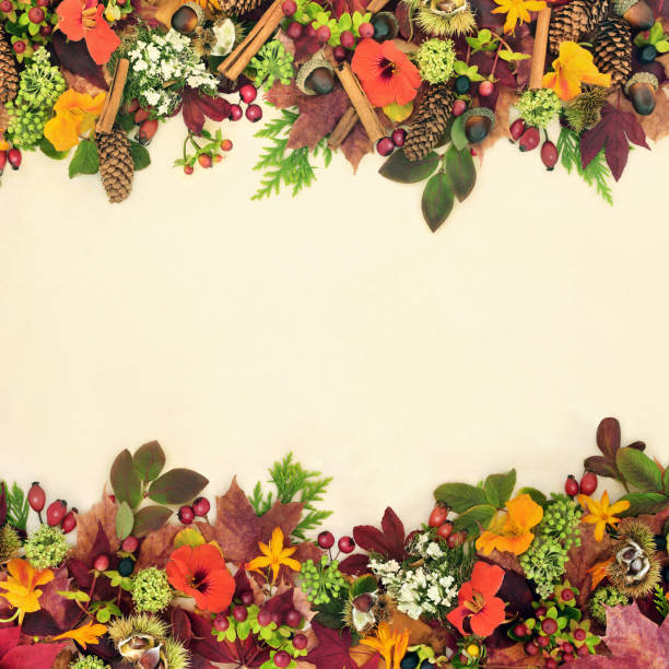 istock Harvest Festival Background Border for the Fall 1362385775
