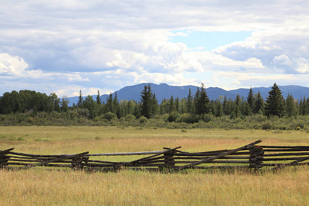 istock Log fence and meadow with mountain background. 136239280