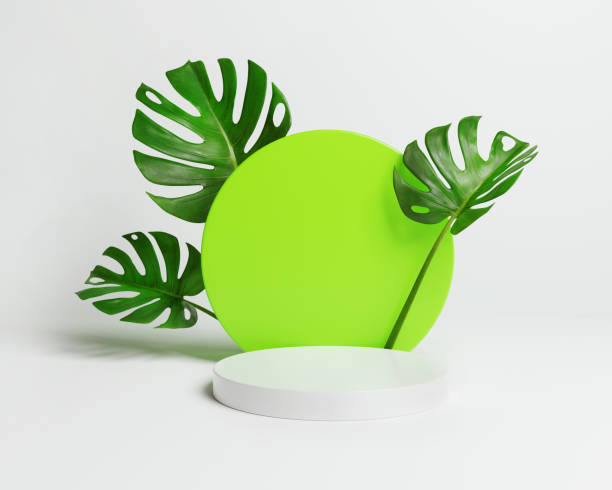 istock Minimal concrete podium display surrounding with monstera leaves. Abstract background. 3D render. 1362393897