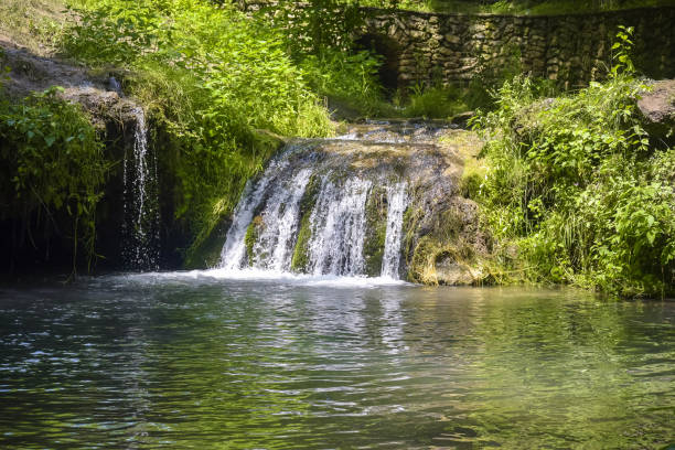 istock Small waterfall in forest. Trees, shrub, green grass and moss-covered stones. Close-up. Selective focus. 1362396828