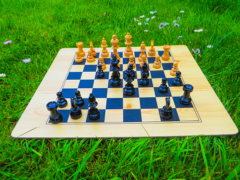 couple playing chess in a park