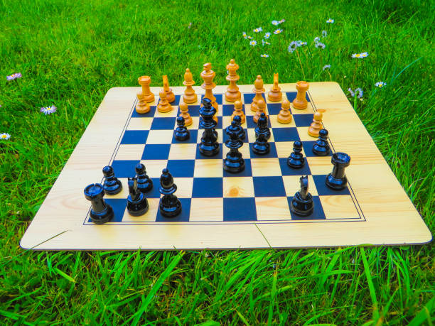 Chessboard on Grass stock photo