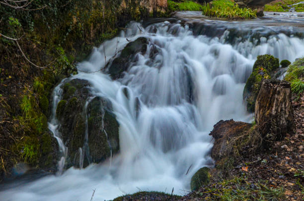 istock white stream waterfall flowing in dark green forests at night long exposure 1362398325