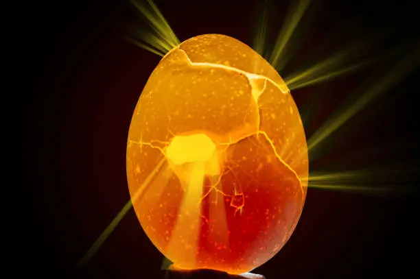 This picture shows a chicken egg that was lit from behind with a flashlight. The light rays were pasted into Photoshop