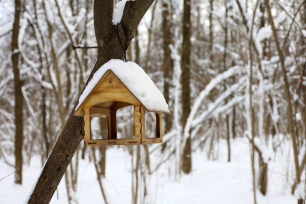 istock Wooden bird feeder in winter forest 1362406245