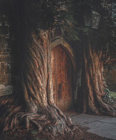 Magical looking an old entrance door to St. Edward's church in Stow on the Wold, Gloucestershire, England