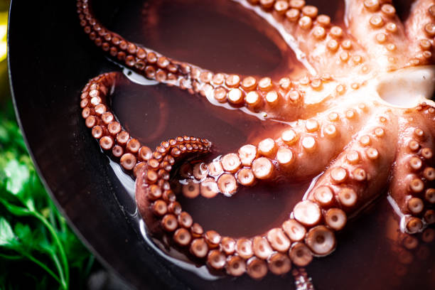 Octopus is boiled in a pot of water. On a rustic background. High quality photo