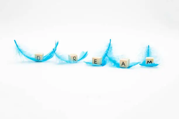 Photo of The word DREAM written on wooden cubes which lay on the blue feathers against white background