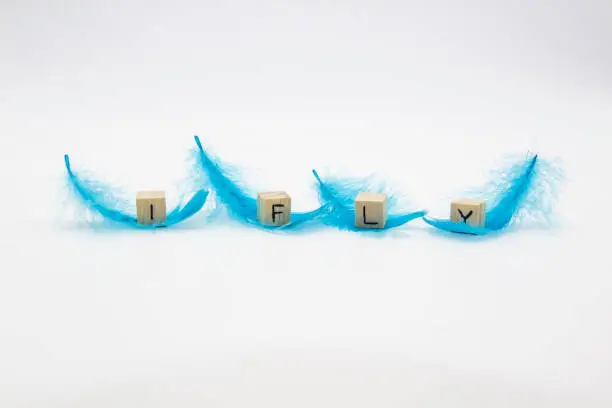 Photo of The words I FLY written on wooden cubes which lay on the blue feathers against white background