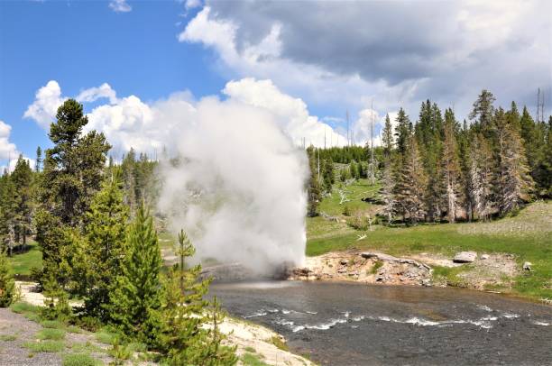 geyser de riverside - firehole river photos et images de collection