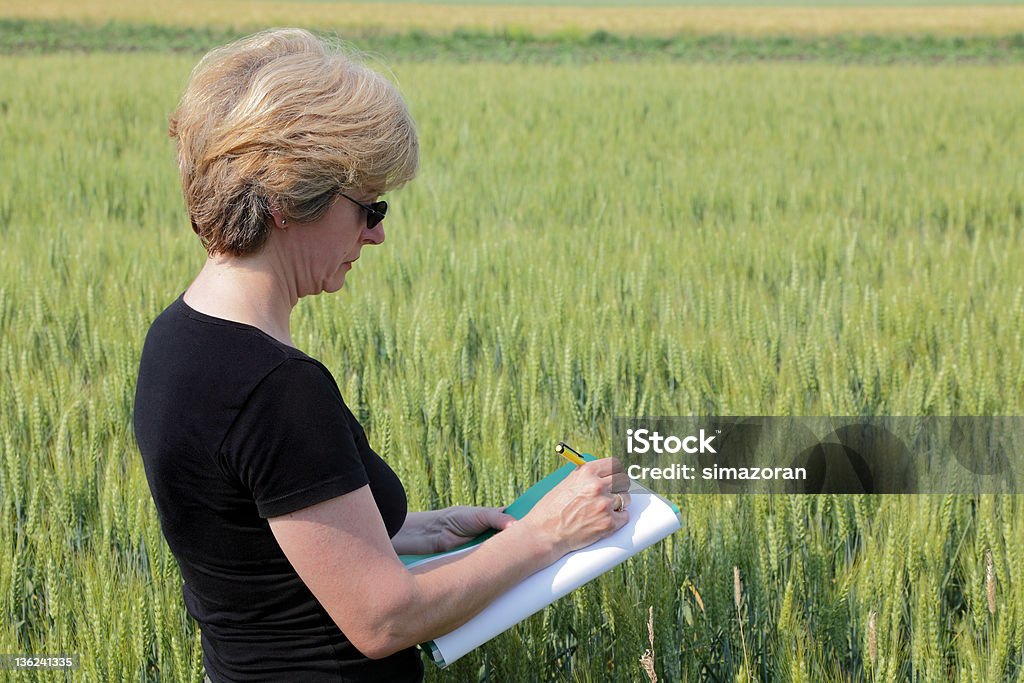 Agronomy Agricultural expert inspecting quality of wheat Adult Stock Photo