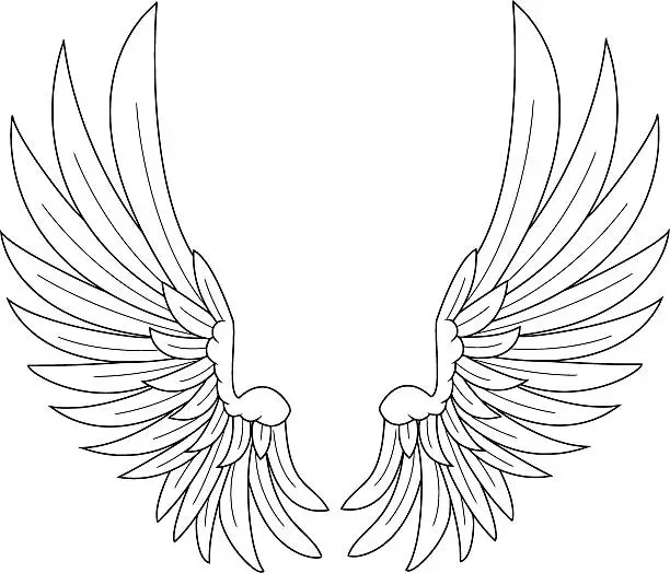 Vector illustration of wings