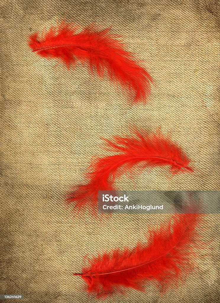 Feathers Three red feathers on a linen background. Beige Stock Photo