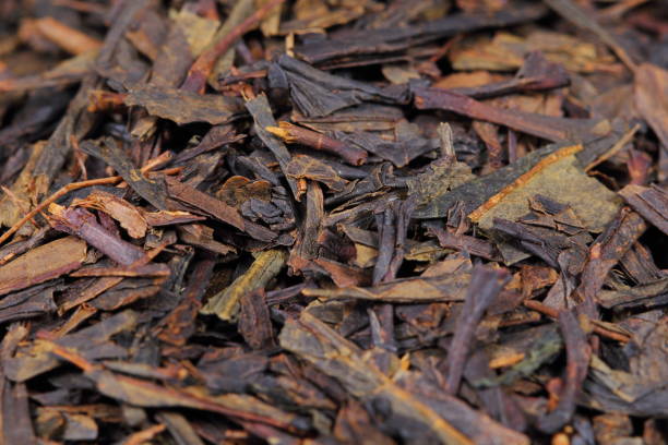 istock China Black Sencha tea macrophotography detail 1362417361