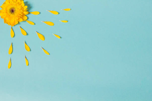 istock Yellow Flower leaves 1362418779