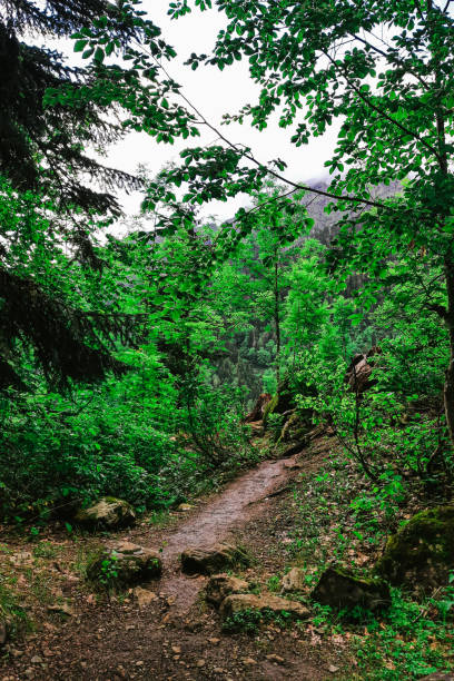 istock green mountain landscapes in cloudy weather. spring 1362419644