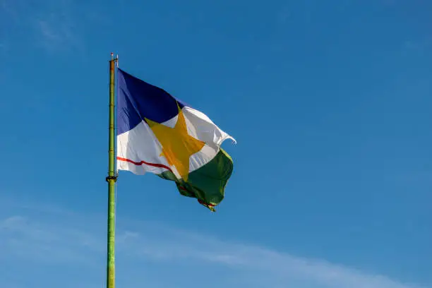 Roraima state flag fluttering in the wind