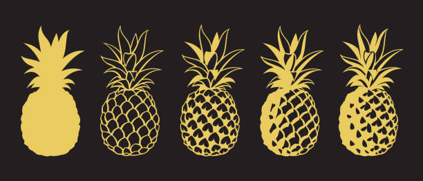 Bекторная иллюстрация набор ананасовых фруктов