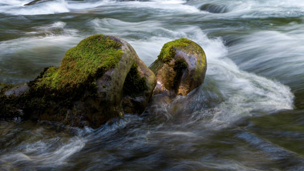 istock Sol Duc River, Olympic National Park, Washington State, USA 1362427441