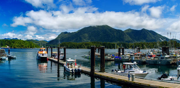 Panoramic view of the port of Tofino - the Westernmost point of Canada on the Vancouver Island, BC, Canada stock photo