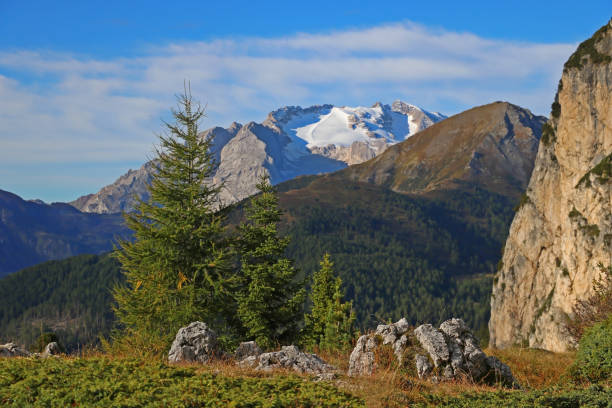 istock Dolomite Mountains and Forest - Dolomites, Italy, Europe. 1362440186