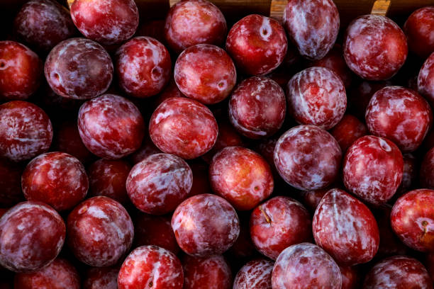 istock Top view of shiny sweet red plum. 1362441015