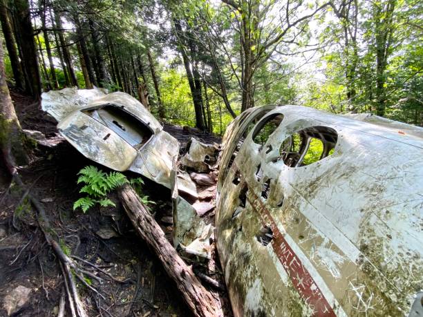 Plane crash site Plane crash in forest airplane crash stock pictures, royalty-free photos & images