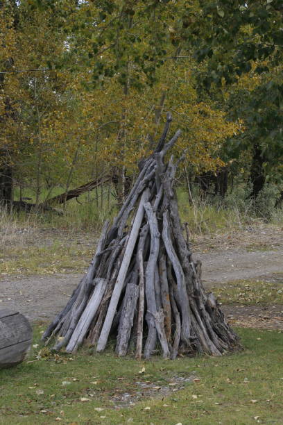 istock Pile of dried sticks stacked in a tee pee shape 1362447166