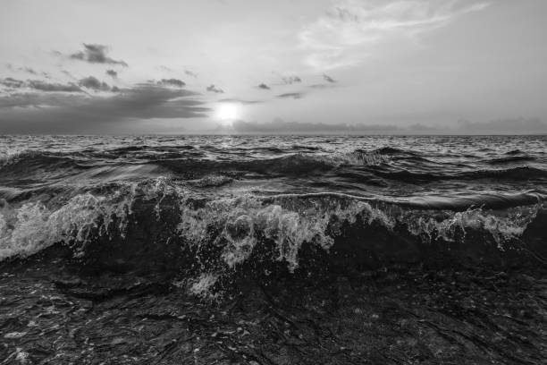 istock Ocean Beach Wave Sunset Black And White 1362450070